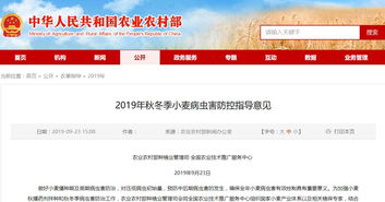 全國農(nóng)業(yè)技術推廣服務中心發(fā)布2019年秋冬季小麥主產(chǎn)區(qū)重點病蟲害防控指南 提前預防，科技助力軟件開發(fā)