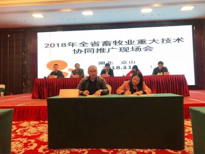 資丘飛雞技術推廣模式入選全國畜牧業(yè)重大技術協(xié)同推廣計劃試點