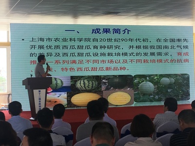 浦東第十二屆農民科技節開幕，初夏時節聚焦農業信息咨詢