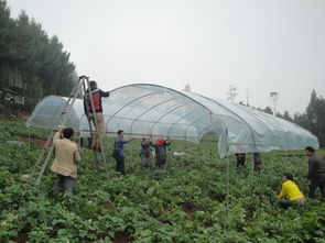 云南省農(nóng)業(yè)廳官方網(wǎng)站——云南農(nóng)業(yè)信息網(wǎng) 您的農(nóng)業(yè)信息咨詢(xún)首選平臺(tái)