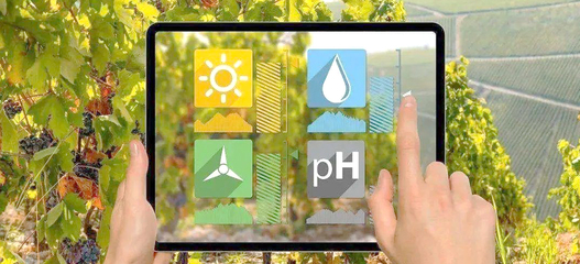 智能農(nóng)業(yè) 開(kāi)啟智慧農(nóng)業(yè)信息咨詢(xún)新篇章