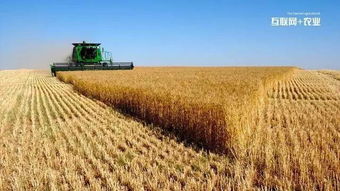 浙江來(lái)淘信息科技 互聯(lián)網(wǎng)+農(nóng)業(yè)的六種實(shí)現(xiàn)途徑及農(nóng)業(yè)信息咨詢(xún)新范式